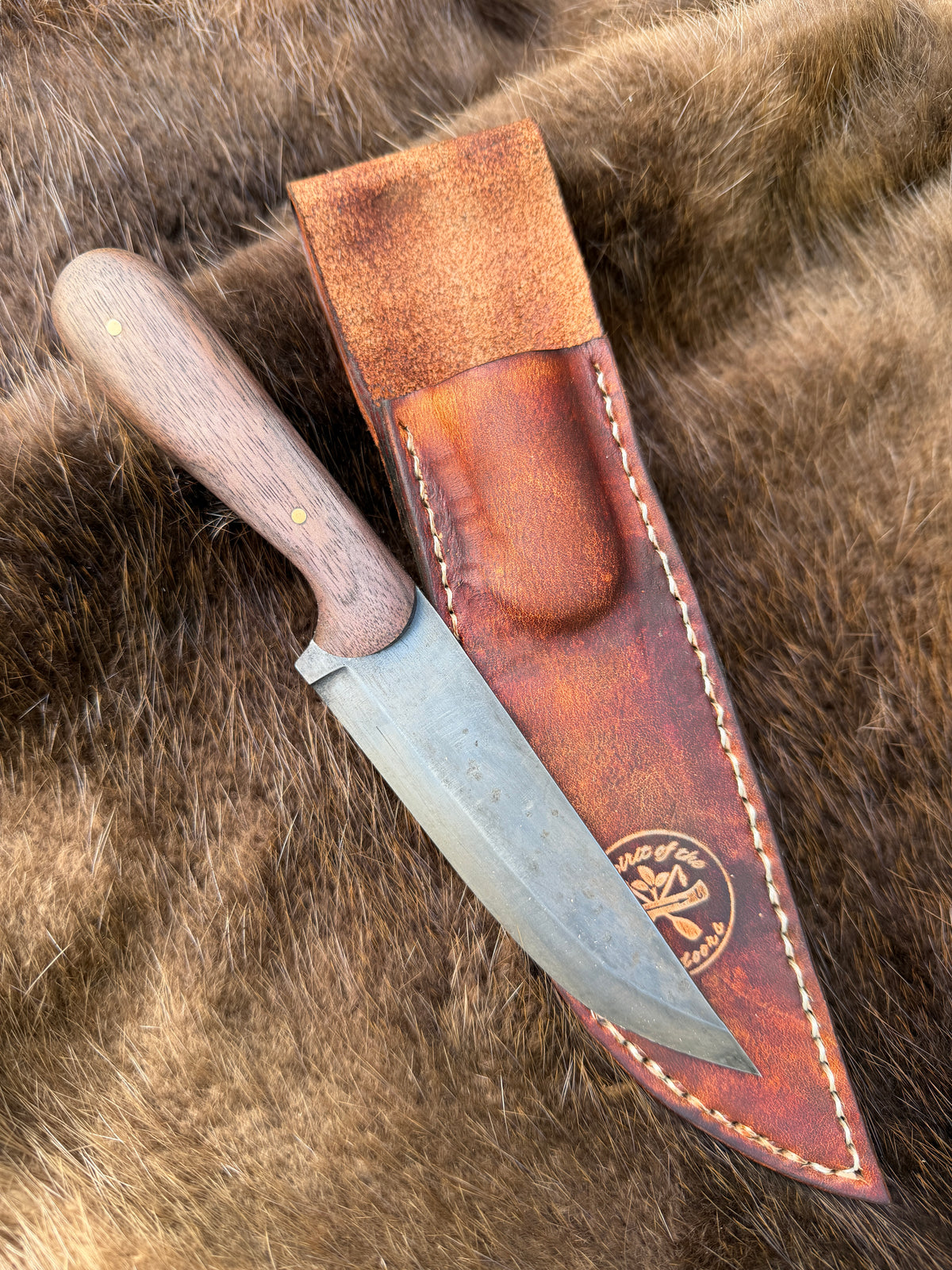 Jonah knife with Black Walnut hamdles