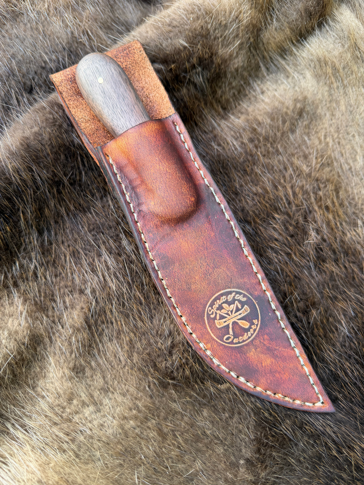 Jonah knife with Black Walnut hamdles